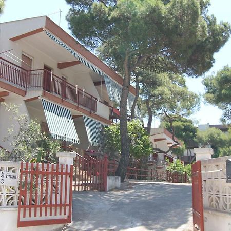 Sea Cottage In Pinewood Джиноза-Марина Экстерьер фото